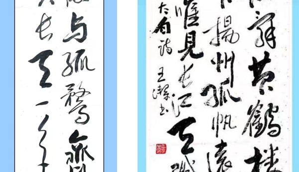 遍临诸帖·借古开今——书法名家王洁百家媒体聚焦报道
