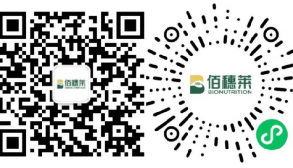 浙产好食品 台州鲜甜糯——佰穗莱健康产品助力乡村发展