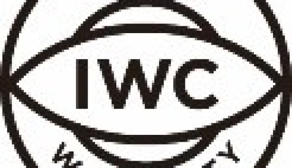 国际超模吉赛尔·邦辰到访日内瓦 “钟表与奇迹”高级钟表展IWC万国表“致敬永恒”展厅