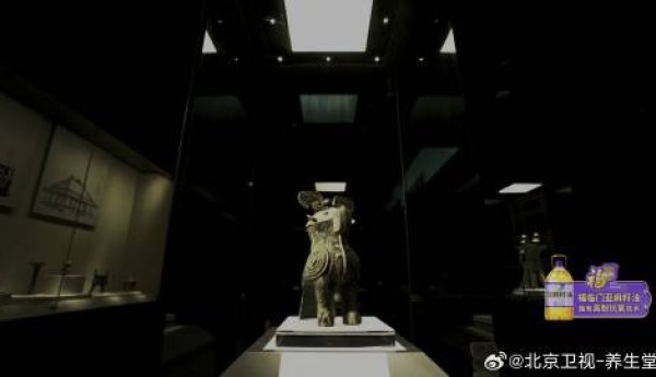 东城中医医院特聘专家王乐鹏做客《养生堂》：文物里的千年药方