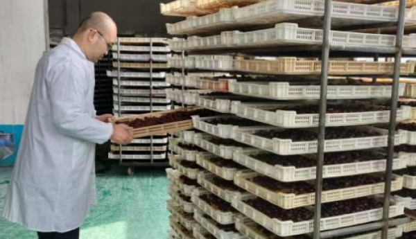 郝寿康荣获“传统古法金丝蜜枣制作技艺非物质文化遗产传承人”称号