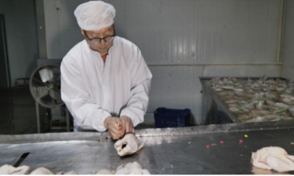 曹海兵荣获拾遗传承“老曹烧鸡酱肉制作技艺非物质文化遗产传承人”称号