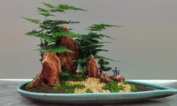 丛小华荣获拾遗传承“丛氏盆景技艺非物质文化遗产传承导师”称号