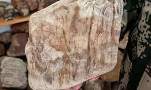 吴金才荣获拾遗传承“传统赏石艺术非物质文化遗产传承人”称号