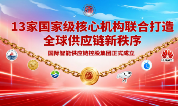 13 家国家级核心机构联合出资，打造全球供应链新秩序
