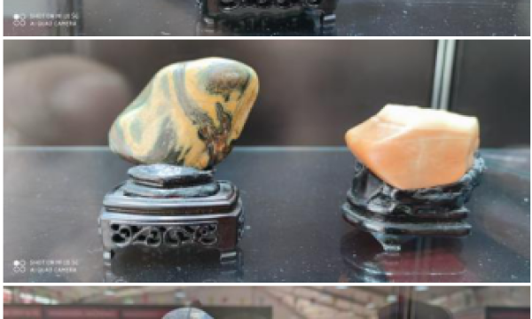 付双新荣获拾遗传承“传统美术（赏石艺术）非物质文化遗产传承人”称号