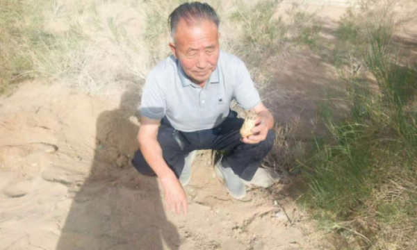 沙极珍苁蓉膏和沙极珍肉苁蓉茶荣获拾遗传承“非物质文化遗产传承名品”称号暨沙极珍肉苁蓉种植技艺（苁蓉出自肃州福禄县沙中）荣获拾遗传承“非物质文化遗产传承示范基地”称号