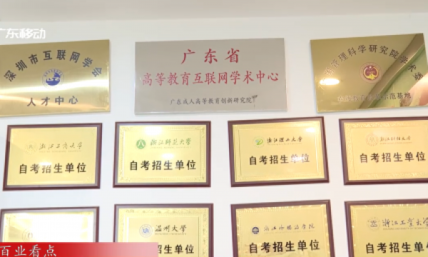 深圳灯火教育咨询有限公司：以质为基，打造奋斗者信赖的终身学习平台
